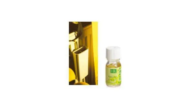 Saturateur céramique + 10 ml parfum