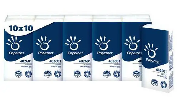 Mouchoirs Papernet 4 plis x 10 étuis