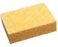 Eponge végétale blonde type n° 2 X10