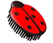 Brosse coccinelle CARL V7