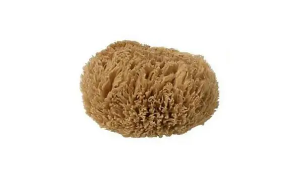 Eponge de mer naturelle petit format