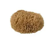 Eponge de mer naturelle petit format