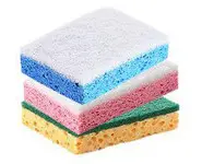 éponges végétales Récura Mix x3