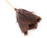 Plumeau en plumes d'autruche